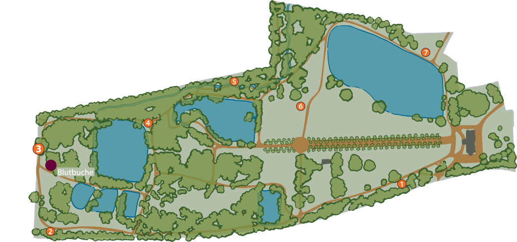 Plan Park Bendeleben Karte 3